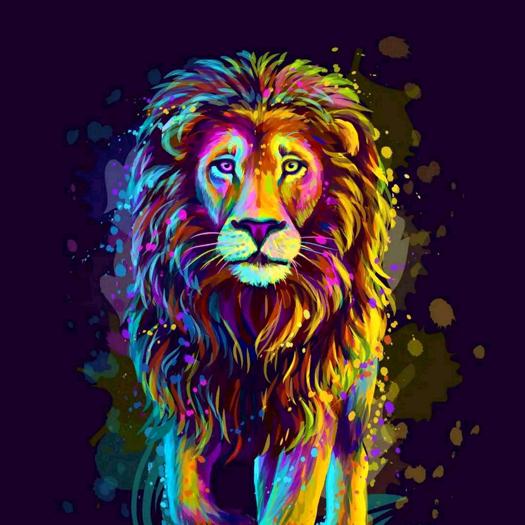 ☞狮子王辛巴☜