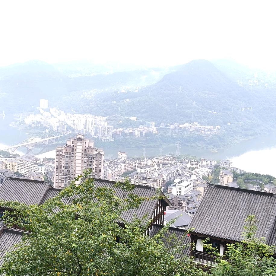 爱已消失