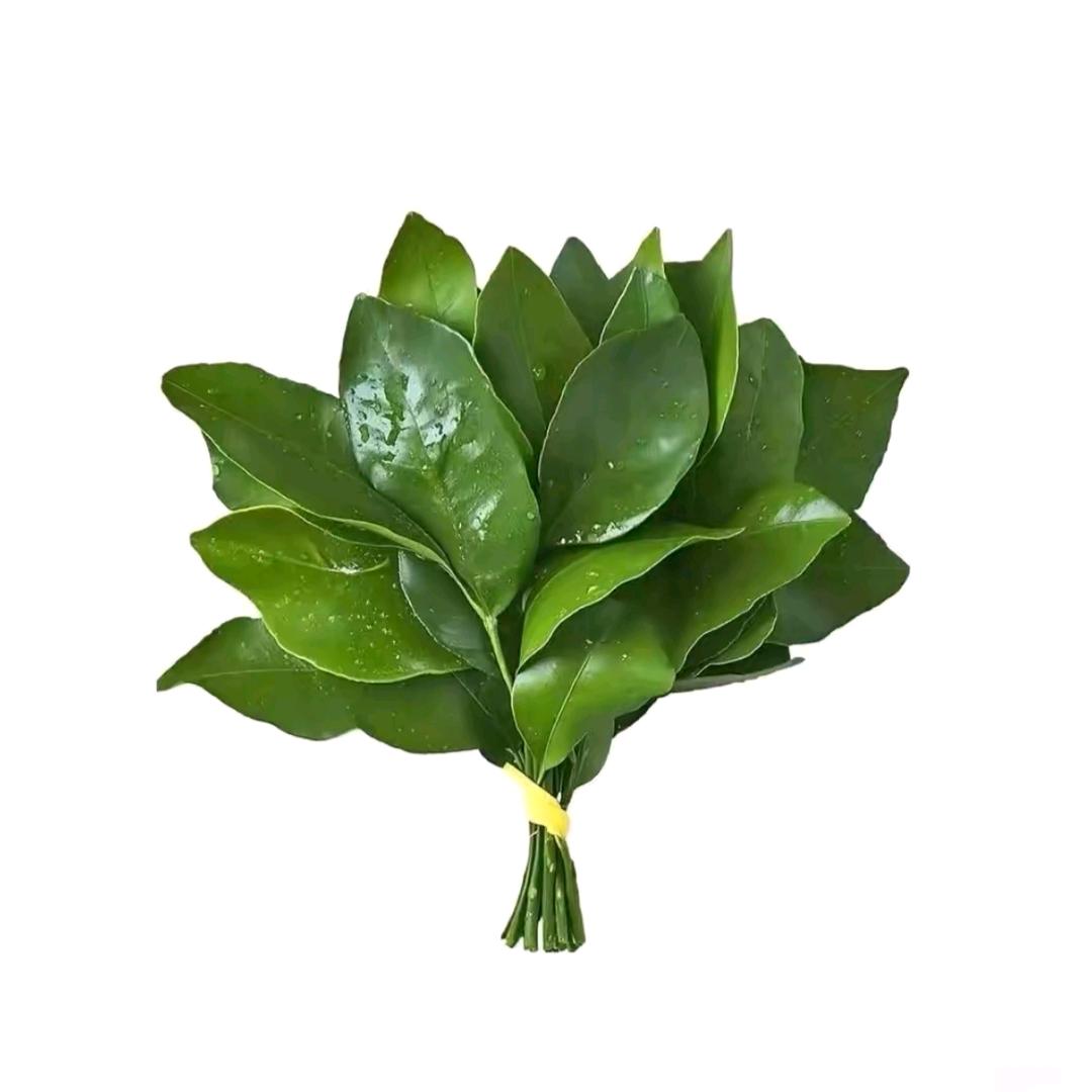 芒果过敏还爱吃