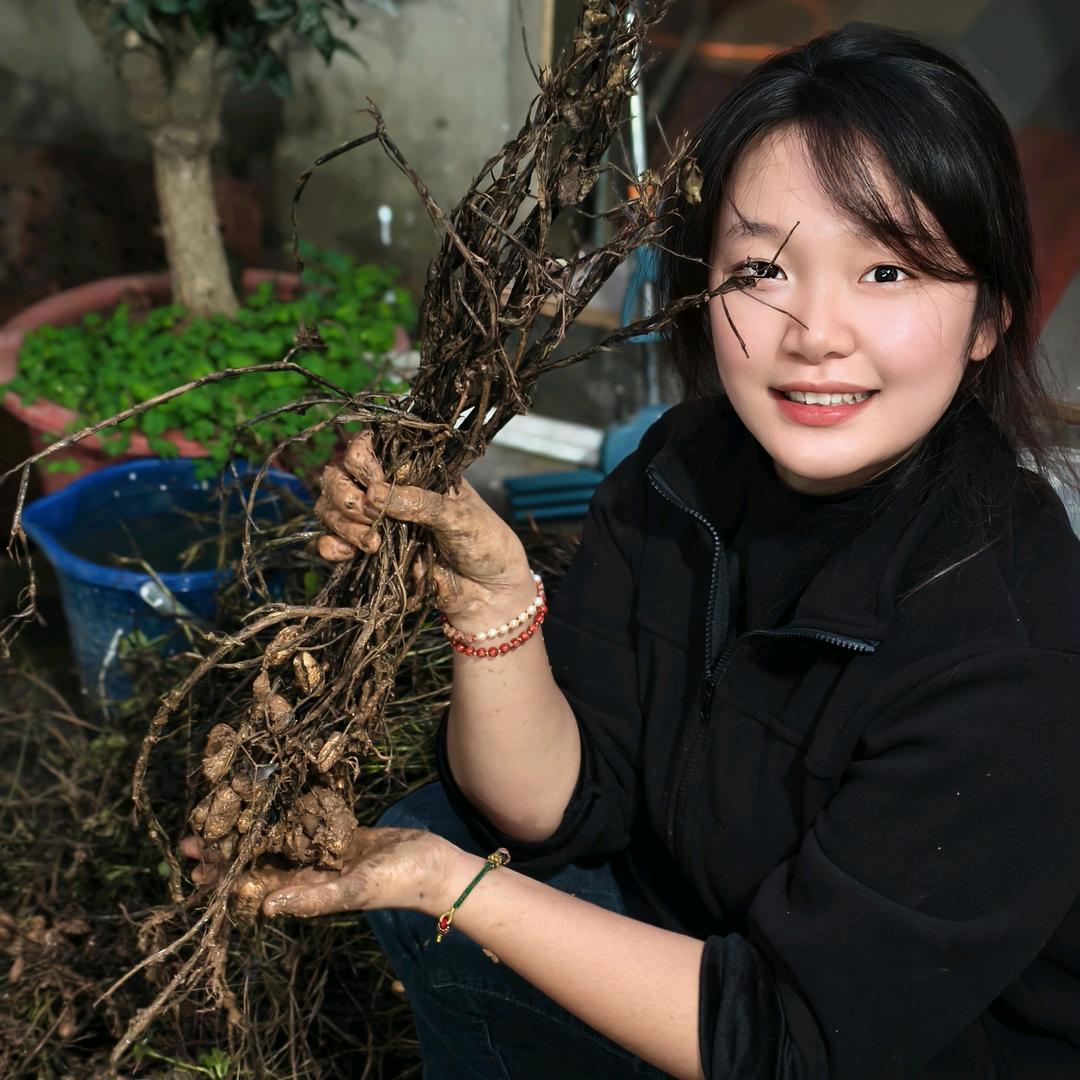 大山里的婷婷