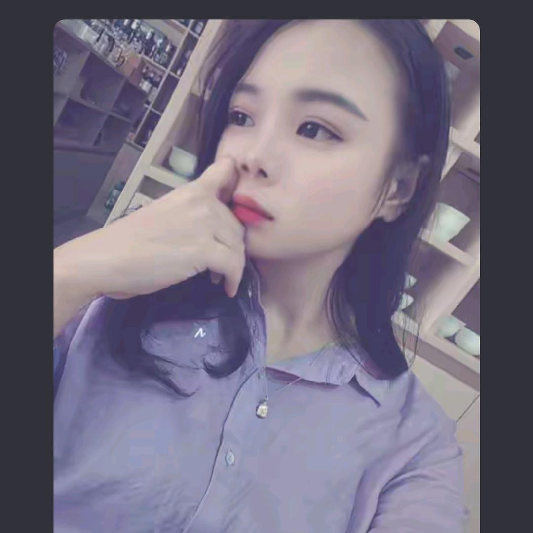 叮咚猫