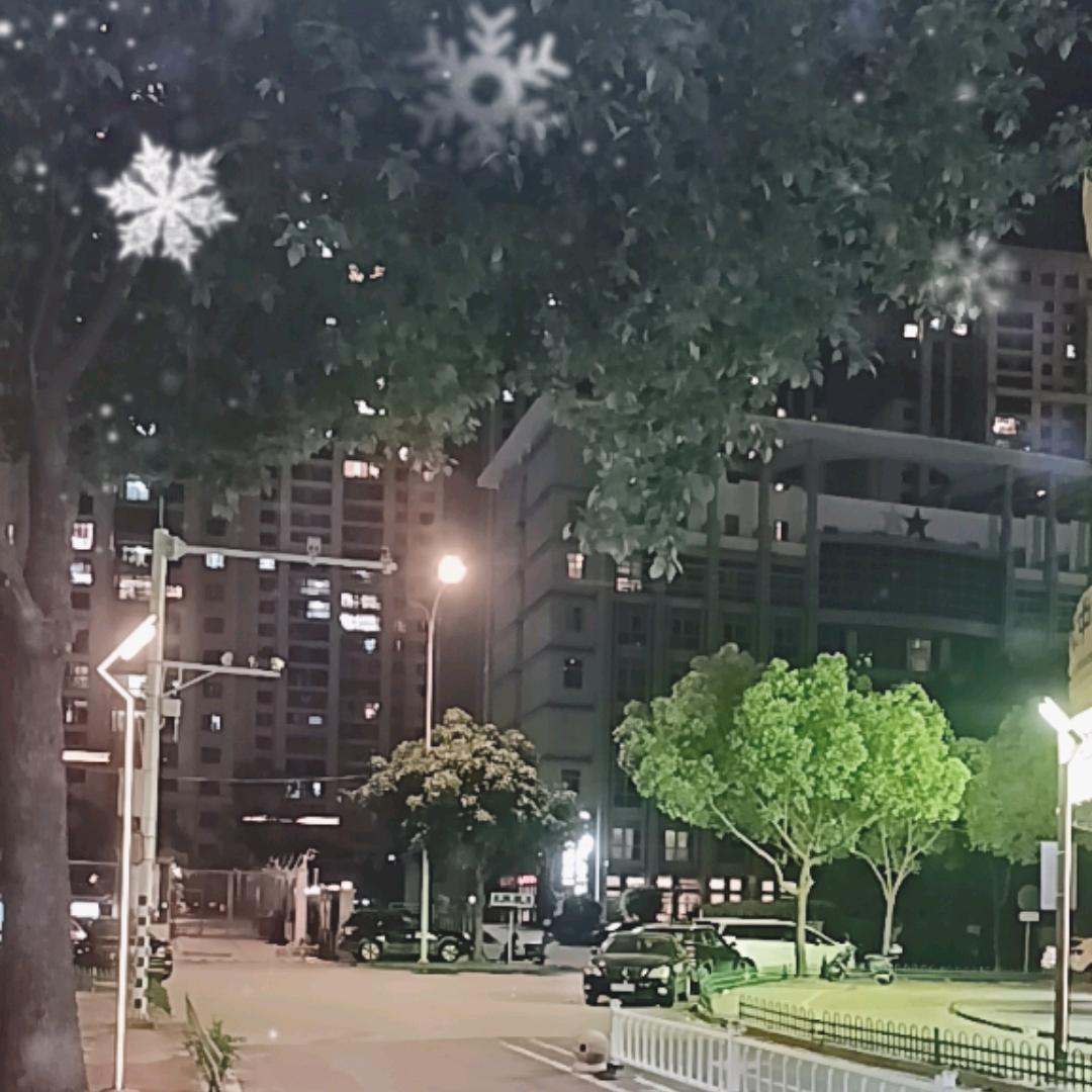 天定小跟班