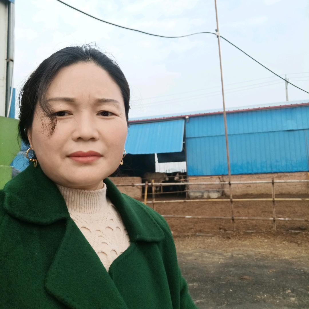 Sunying(蒙城辛集养殖服务部)