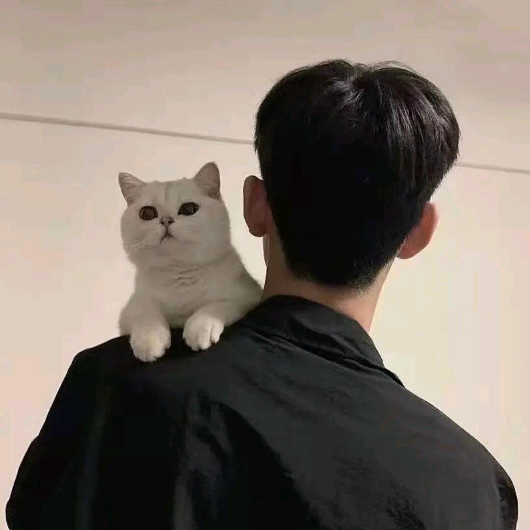 云畔