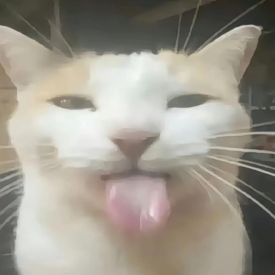 一叶之静安