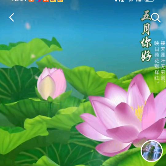 $忠心#独韵々