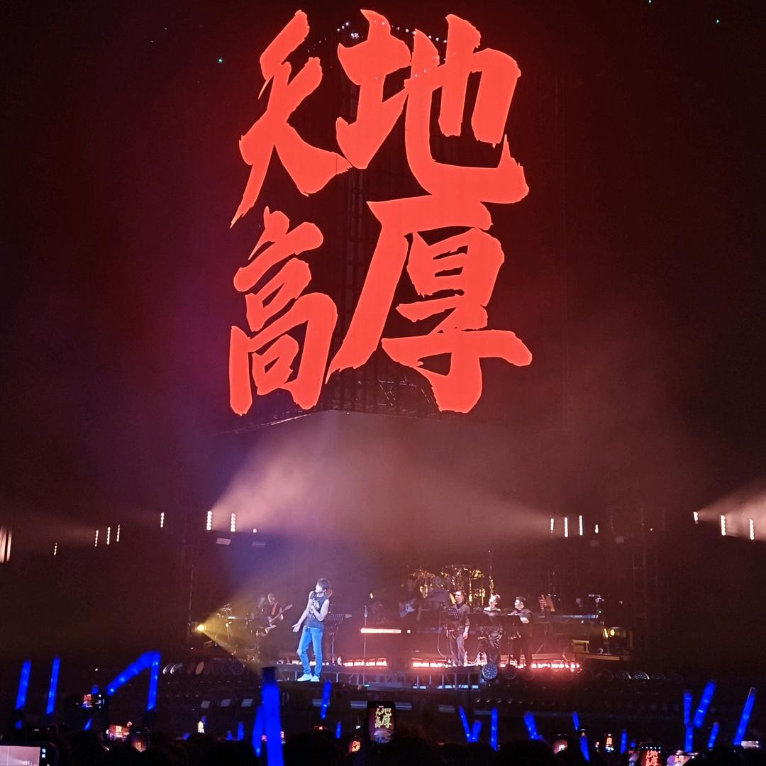 就吃香菜(单身饭)拒绝瞎聊