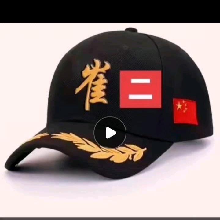 化蛹成蝶傻二哥（布衣）