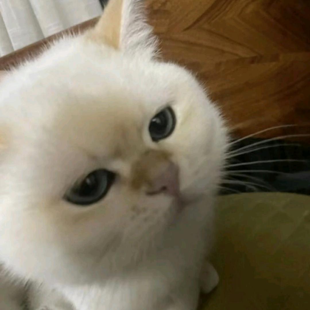 小范