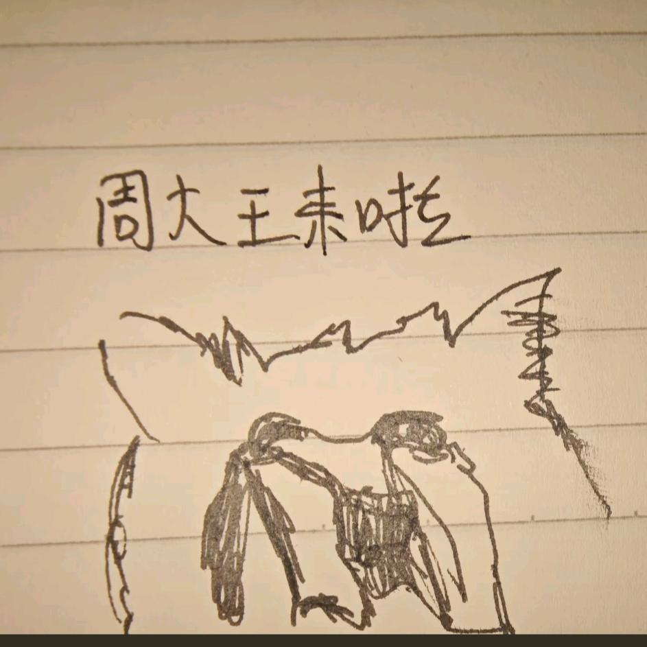 周大王来啦