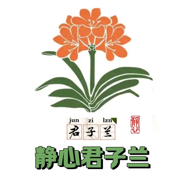 静心君子兰花房