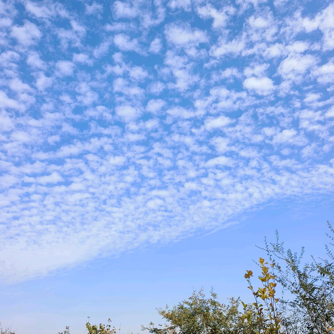 朝辞白帝彩云间