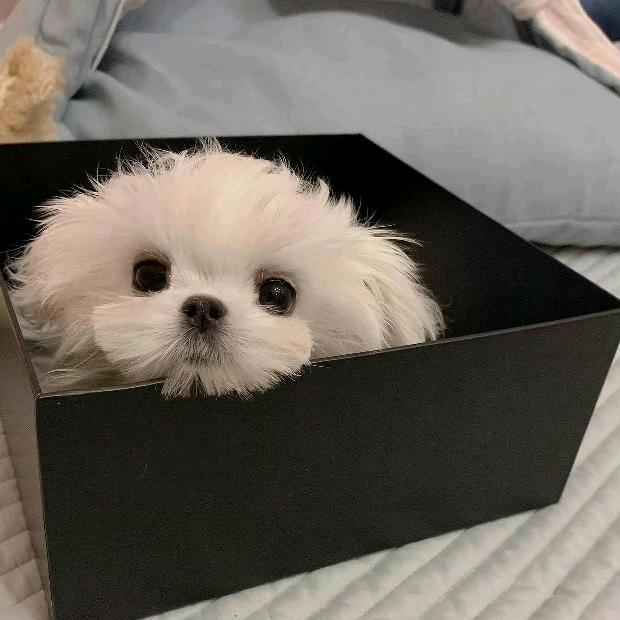 莫名冷