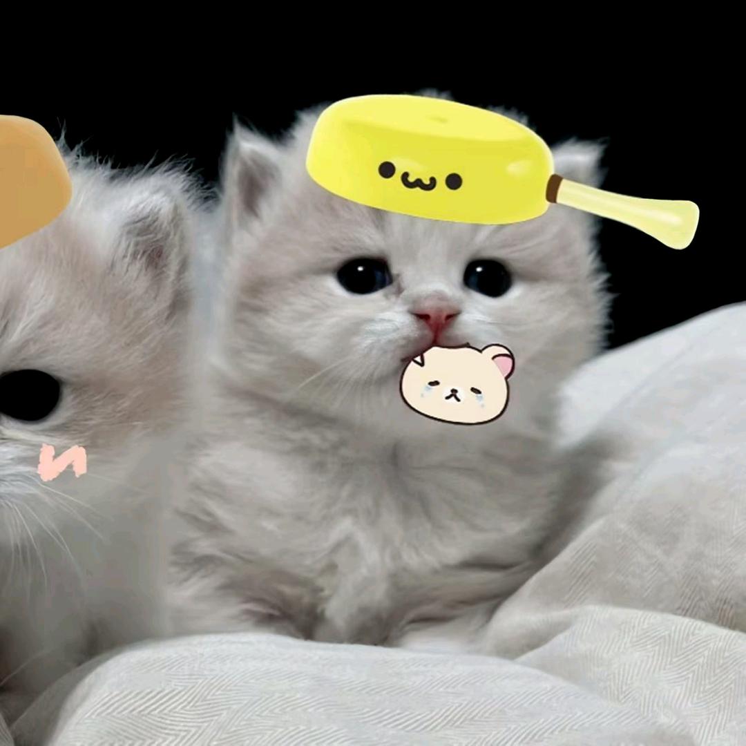 暮秋