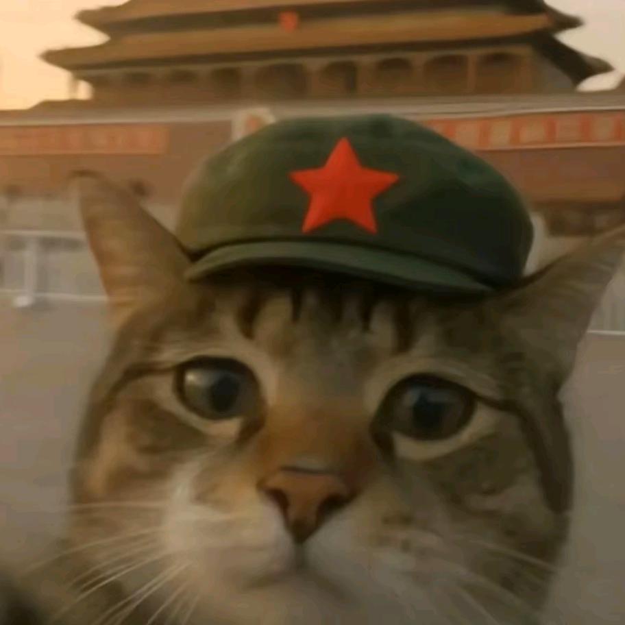 坨坨