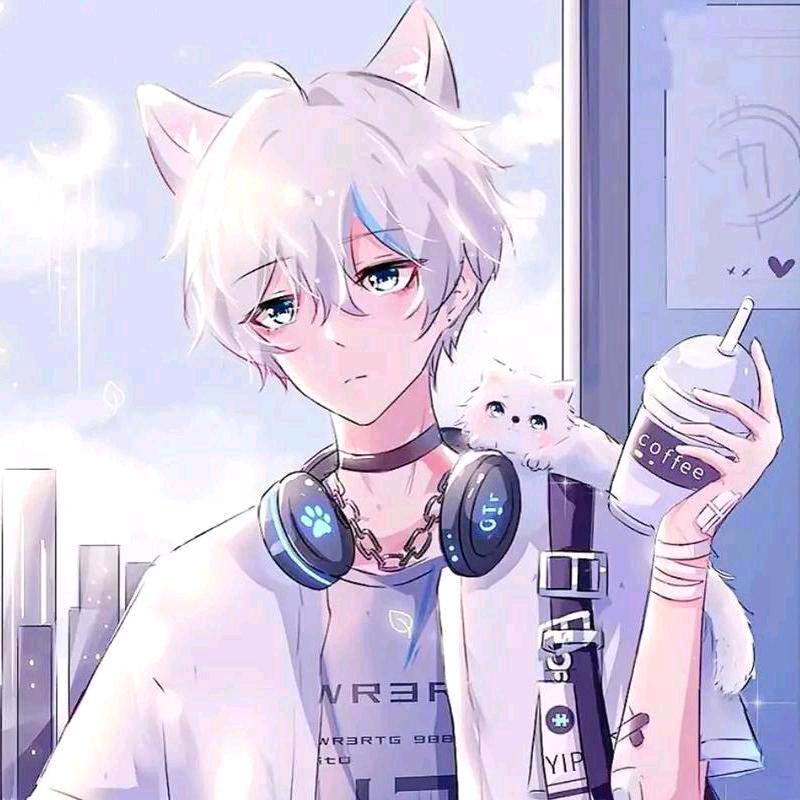 虚枉