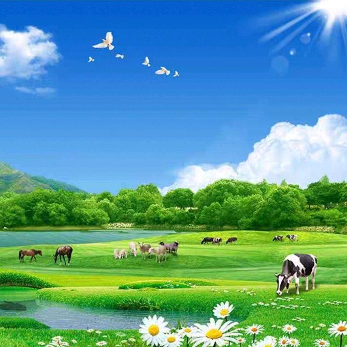 虎姐有点野😽😽