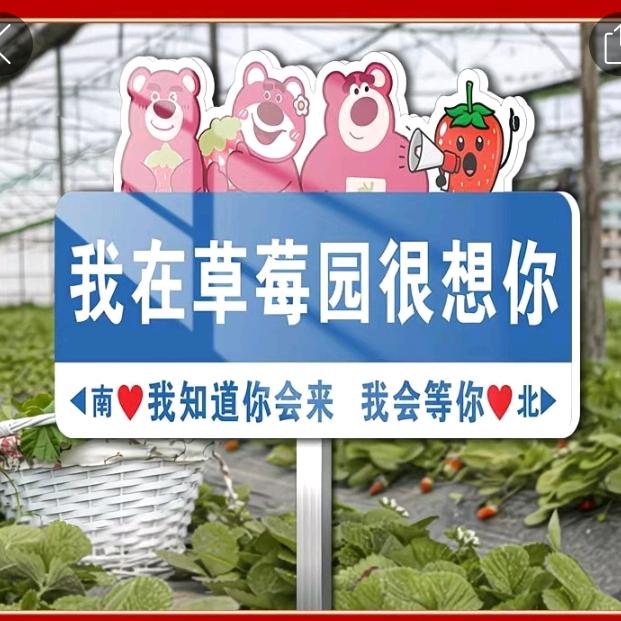 🍉🚬᭄ℯ⃝守护ꦿ꯭永恒᭄ℯ⃝🍓