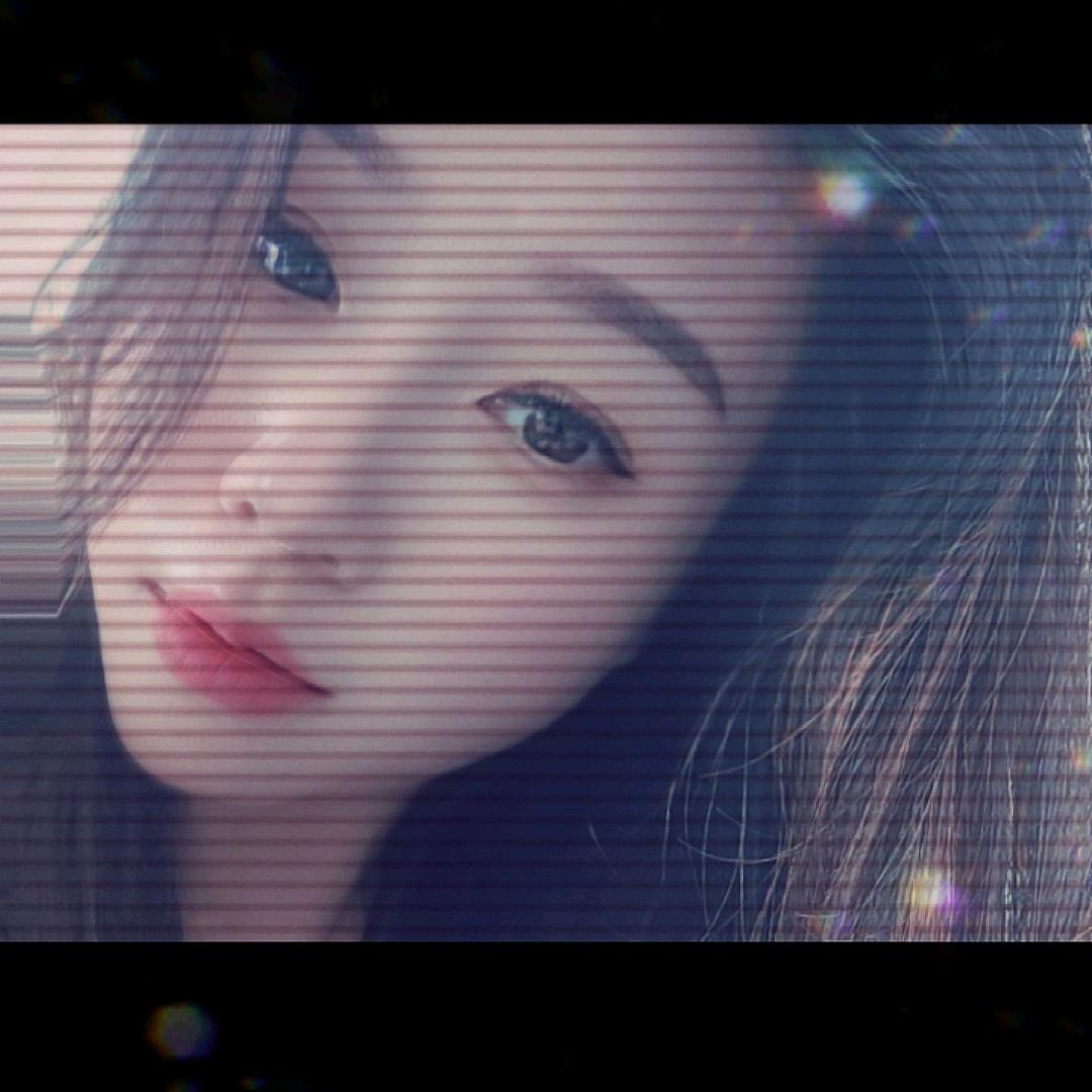 美丽的邂逅