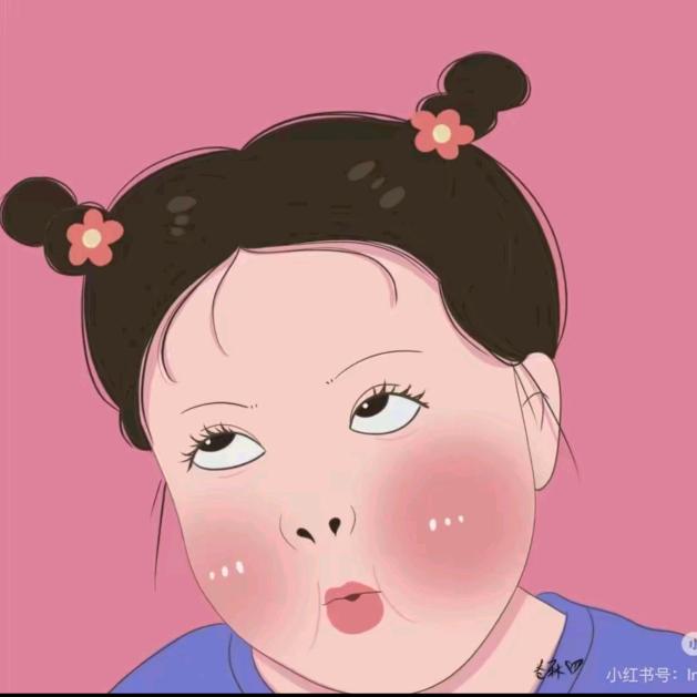 骑猪去观花