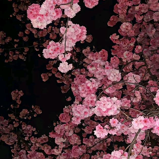 小兵