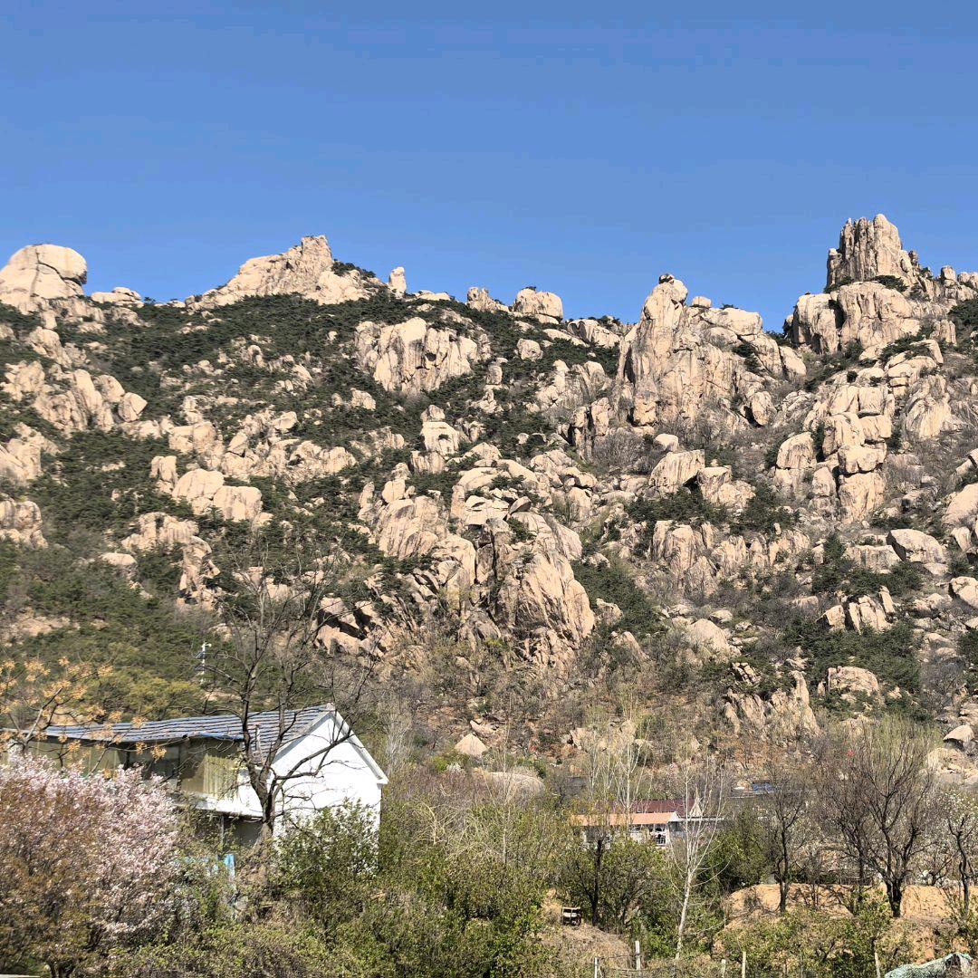 良人芥末鸡—小慧