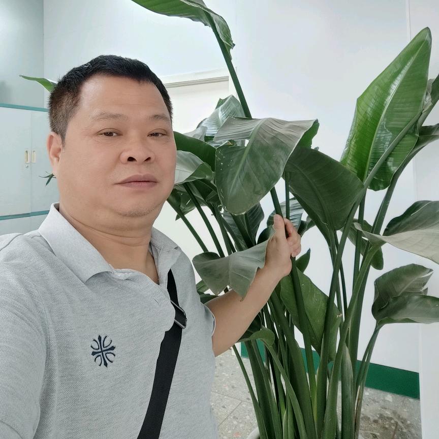 平果米米乐科教玩具一金鹿哥