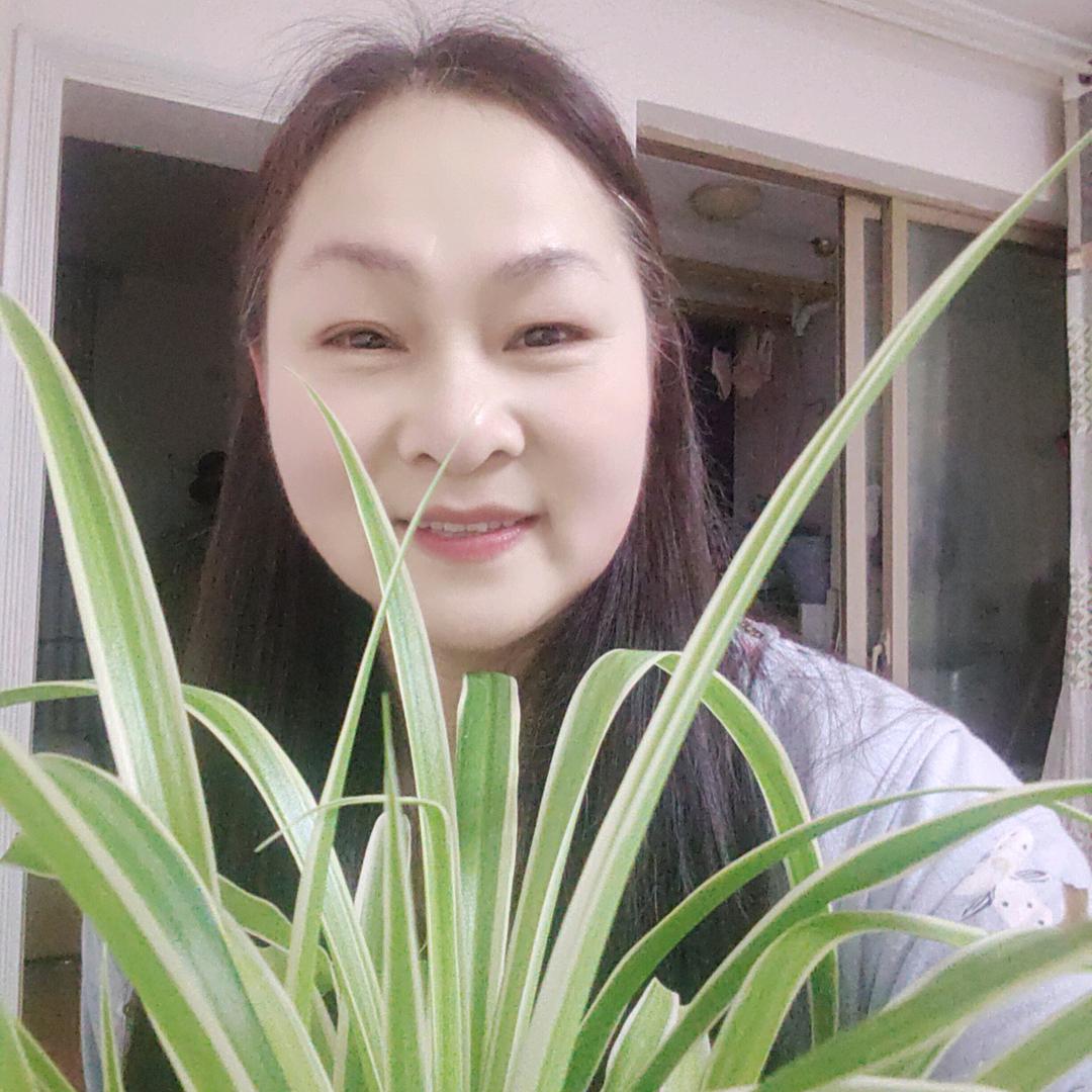双姐