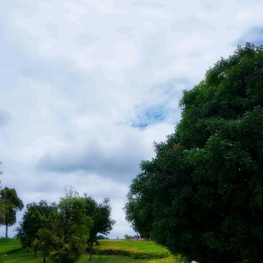 战狼