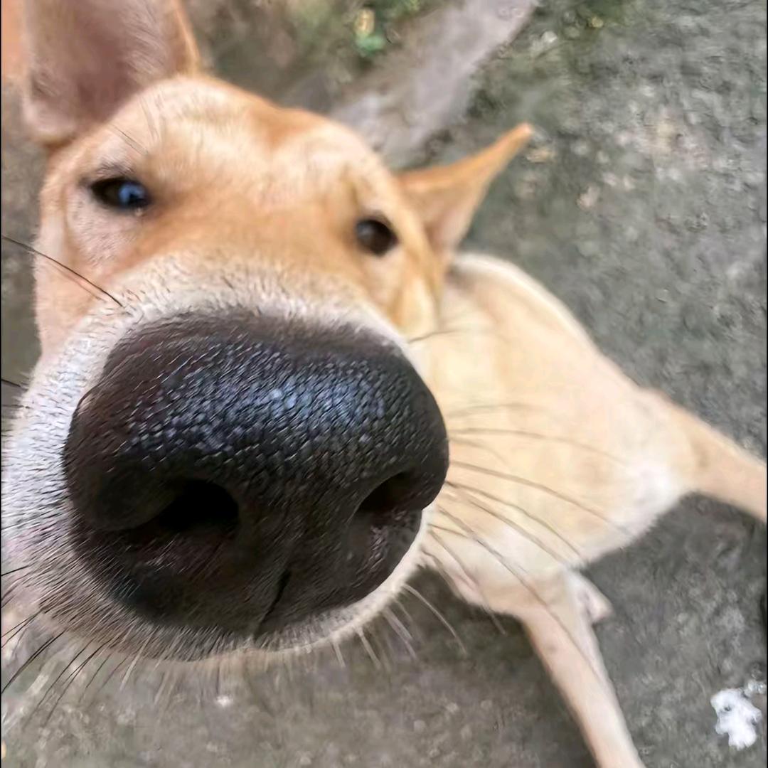 春秋只转载要事