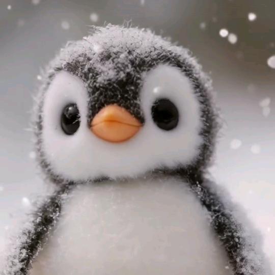 小企鹅🐧