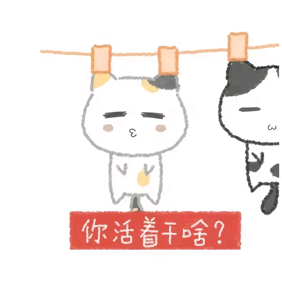 少爷