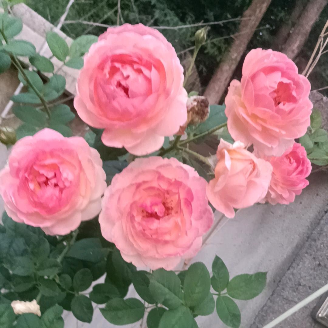 换位思考