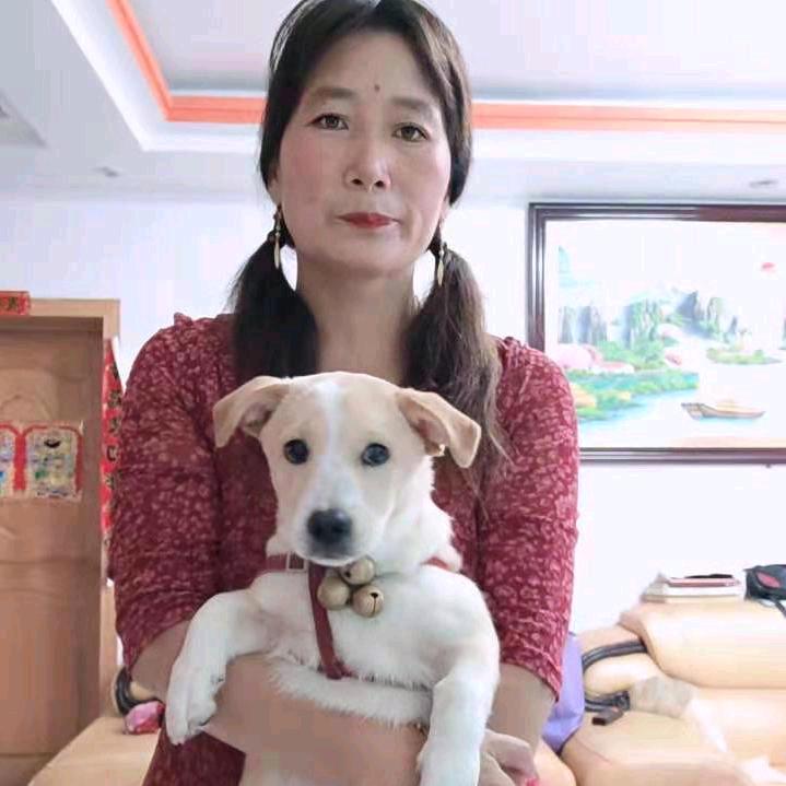 🐅🍀🐍梦🍀🌺娘🍀🌺🐍🐍