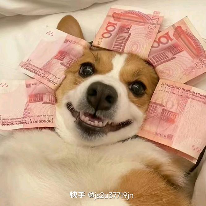 霸气榴莲哥
