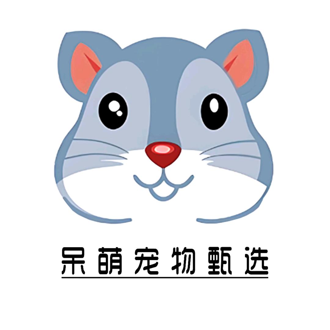 呆萌宠物甄选