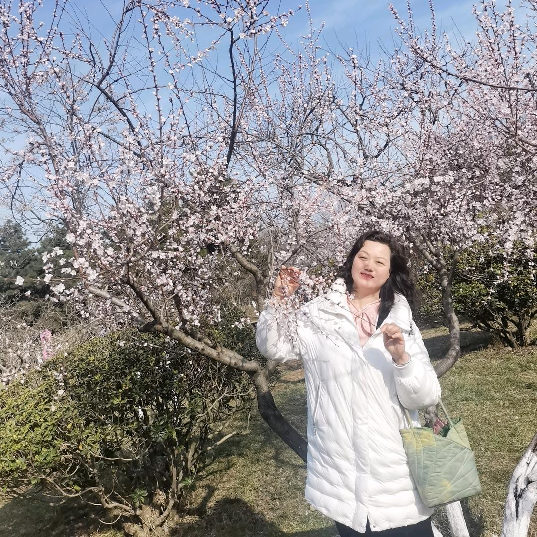 宝鸡斯尔顿家居