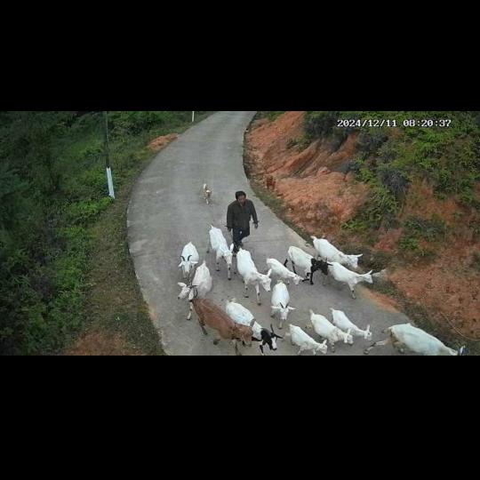 福美农场(中草药)