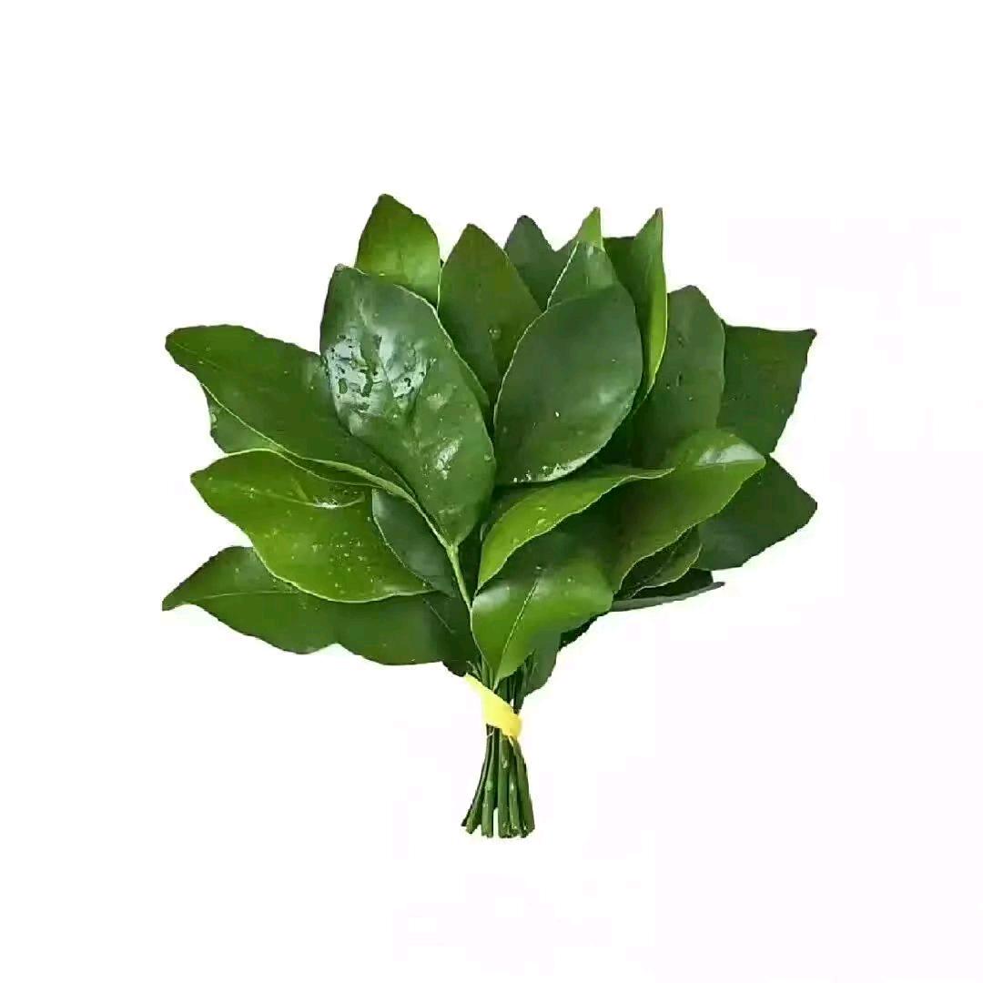 敬”🥥