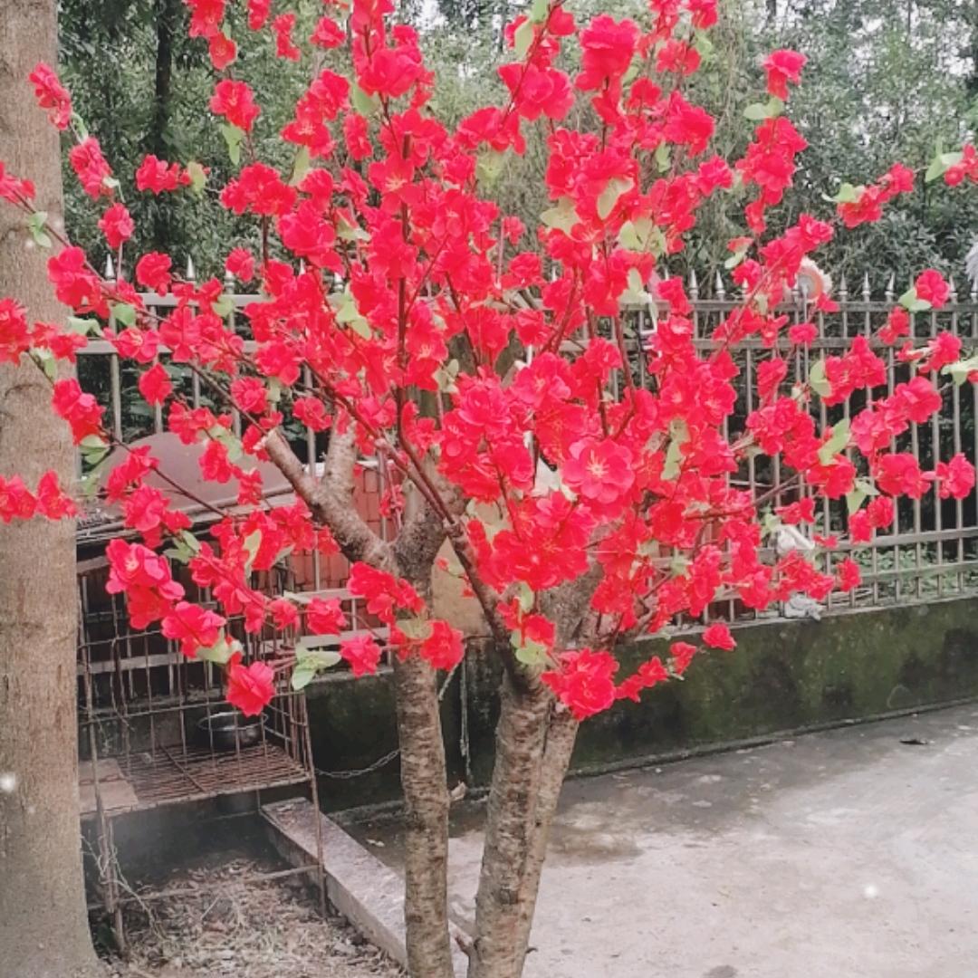 邓