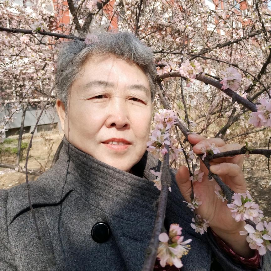 快乐梅花