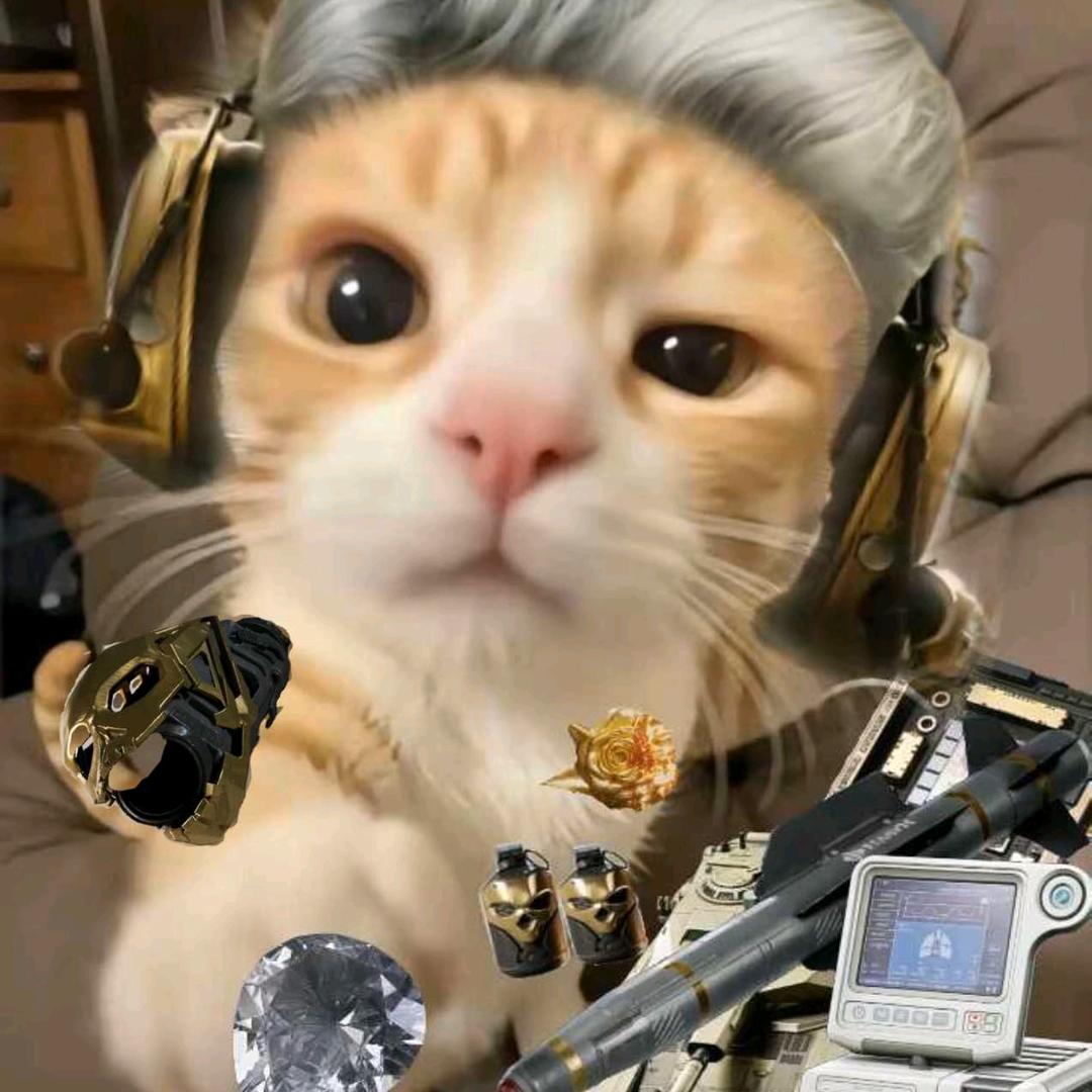 川墨（三角洲行动）