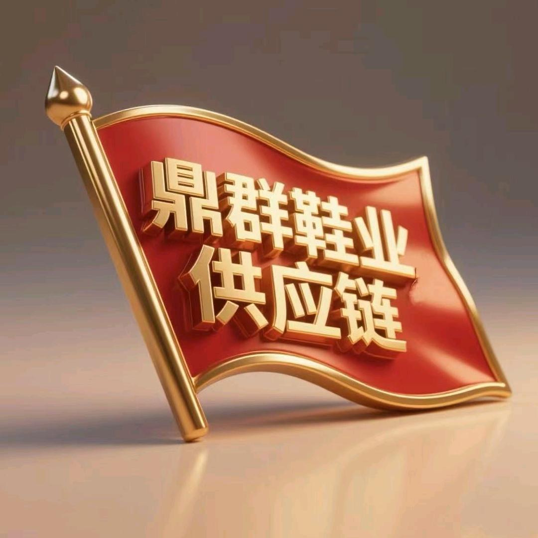 鼎群鞋业供应链
