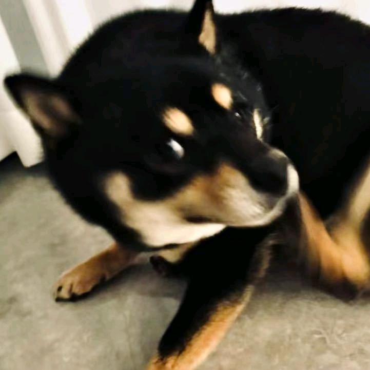 借晚風敘舊