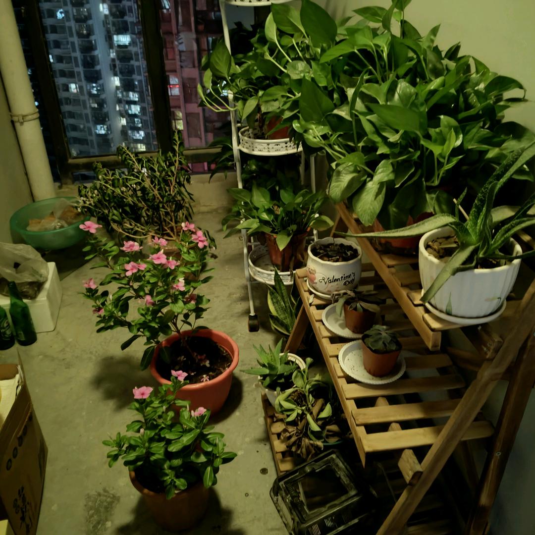 暖气片安装铺地暖和排烟工程