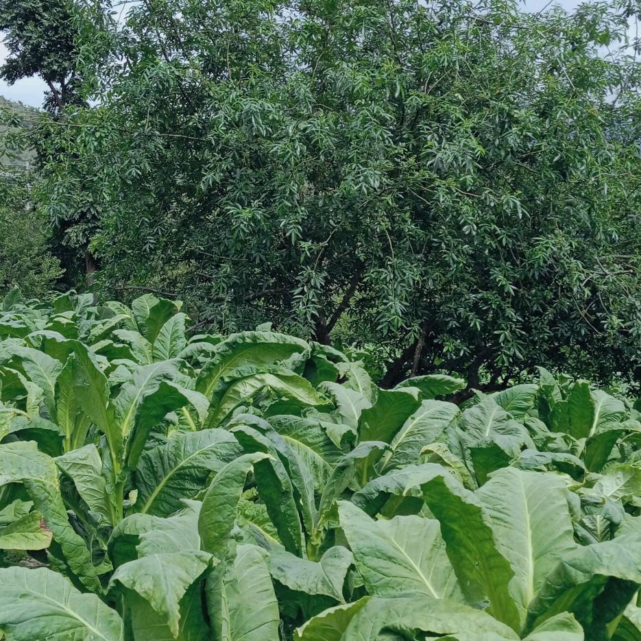 一切都从零开始