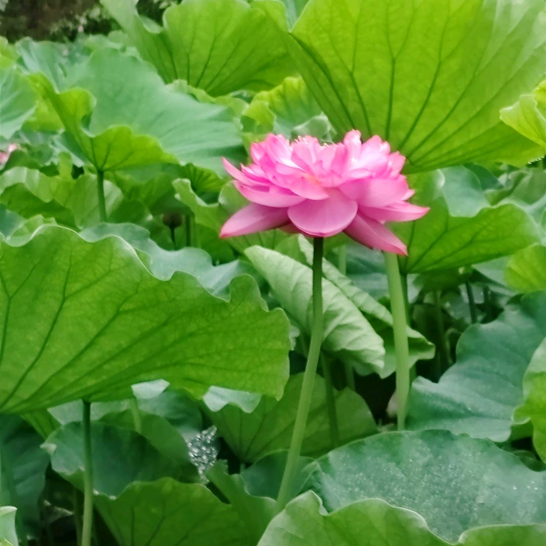 @加油，打工人