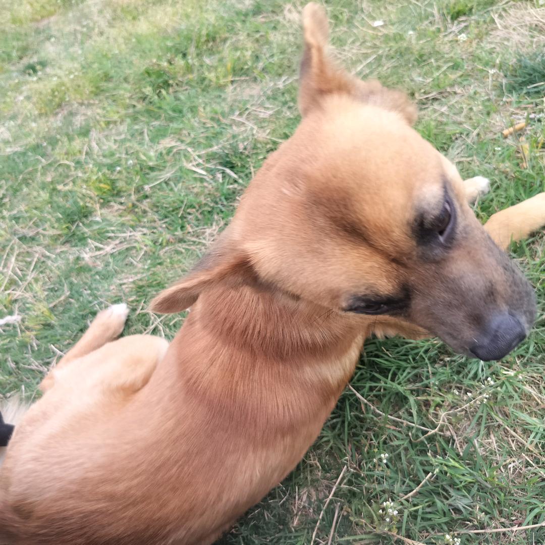 梅姐！再生资源物资回收🌺🌺🌺💐