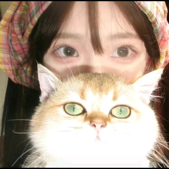 岁岁੭