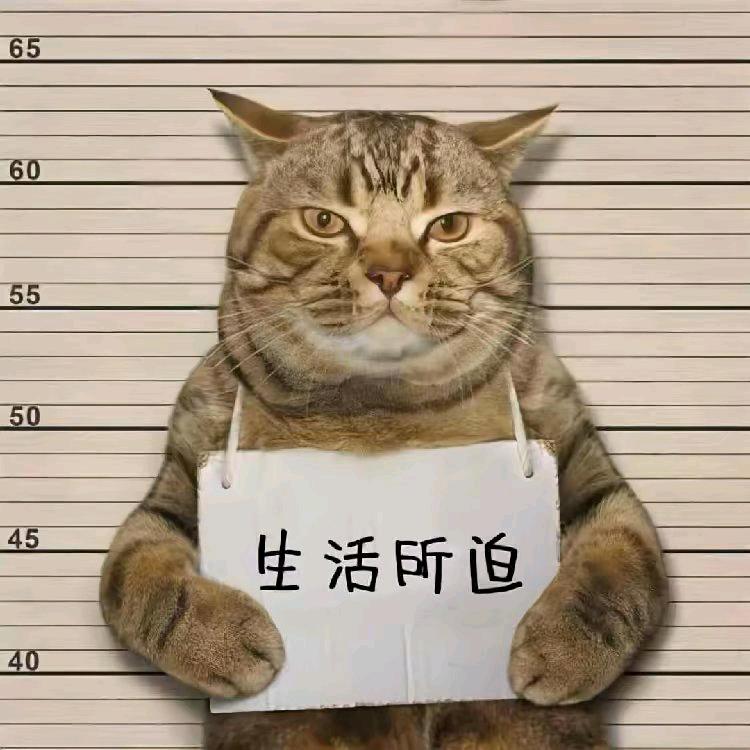 秋時